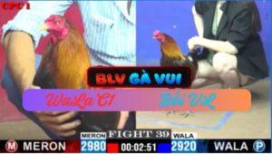 Trận 39 CPC1 29/5/2025 Bối Bối Chịu Hông Nổi Sau Vài Tay Nước