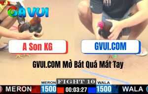 Trận 10 CPC1 30/06/2025 - Gà Điều Của GVUI.COM Mở Bát Thành Công