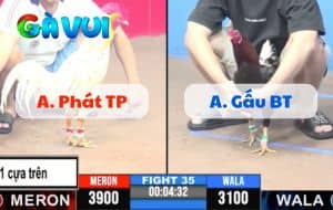 Trận 35 CPC3 11/6/2025 - Đá Xổ 500tr - Anh Phát TP Và Anh Gấu BT