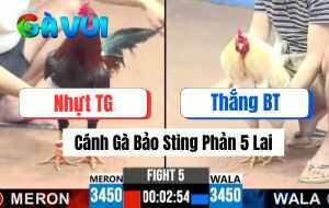 Trận 5 CPC3 24/06/2025 - Cánh Gà Bảo Sting Có Pha Phản Kèo 5 Lai
