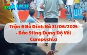 Trận 6 Bồ Dinh Bà 21/06/2025 - Bảo Sting Đụng Độ Với Campuchia