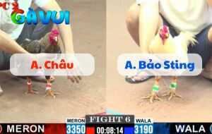 Trận 6 CPC2 25/06/2025 - Anh Châu Vs Anh Bảo Sting